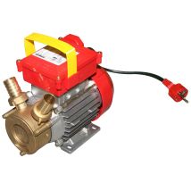 Rover - Pompa Elettrica Da Travaso Rotazione Reversibile 550 W Raccordi 25 Mm