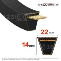 Courroie Trapézoidale Lisse Contitech Conti V C58 22 X 1475 Li / 1534 Ld