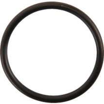 O-ring Carraro Ci028171