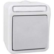 Peranova 102453 Interruttore Per Ambienti Umidi Interruttore A Croce Pera Grigio Chiaro, Grigio Scuro 1 Pz.