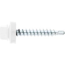 Sanundo - Vis De Façade Twistec Colorhead 4,8 X 20 Ral 9010 Ue: 100 Pcs Avec Clé À Douille 451m8p