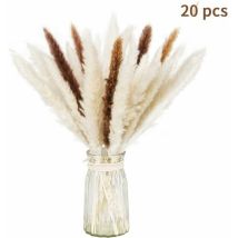 Set Di 20 Pezzi Di Erba Di Pampa Essiccata Naturale Ulisem Per Decorazioni Domestiche (bianco + Marrone)
