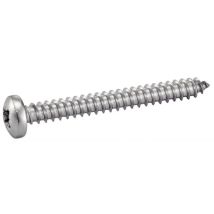 Tornillos Acton Din 7981 5.5x38 Autorroscantes Resistentes A La Corrosión
