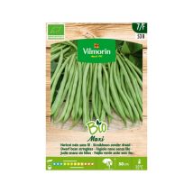 Jardín Bio Semillas De Judía Mata Baja Maxi, Caja 100 Gr - Vilmorin