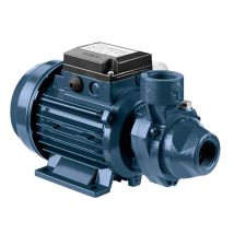 Ebara - Pompe Électrique Périphérique En Fonte Modèle Prn 0.50 M Hp 0.5 Monophasé
