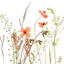 Servietten Motiv Wiesenblume 33 X 33 Cm Tischservietten - Braun&company
