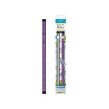 Marshall - Ciano Cln5 Barre Led Bianca E Rgb 1,5w + Trasformatore Per Nexus Betta Life 5c E Diamond 14c Ciano