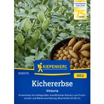 Kiepenkerl Saatgut Kichererbsen Vittoria Für Ca. 0,6 – 1,2 M²