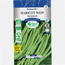 Frijoles enanos talismán bio – 30g – Siembra de abril a agosto – Cosecha de julio a octubre