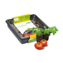 Jiffy-7 XXL GH-16 – Mini serra con 16 pastiglie di torba compressa per pomodori e ortaggi – 28 x 28 x 8 cm