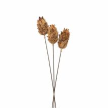 Hill Interiors - Bouquet Of Dried Protea Artificial Plant - L12 X W12 X H60 Cm