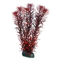 Eusteralis, Plante D'Aquarium Artificielle Pour La Décoration - 20 Cm - Hobby
