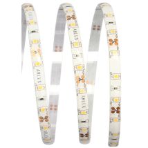 Arlux Lighting - Tira Led Interior Loft 5m 4.8w/m 400lm/m - 3000k Blanco Neutro