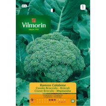 Broculi Ramoso Calabre S-1 816, 9 Gr - Vilmorin