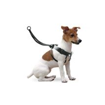 Easy Walker M Trainingsgurt – Größe M: 31-39 cm – Stark, langlebig, wetterfest – Einfach anzuziehen und einzustellen