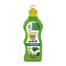 Concime Liquido Concentrato Per Piante Grasse E Bonsai Nutriente Con Potassio Azoto E Fosforo X 500 G