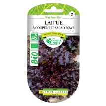 Semi Di Lattuga A Foglia Rossa Bio Les Doigts Verts
