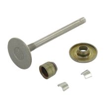 Valvola Di Aspirazione Briggs Et Stratton 807680