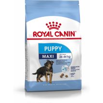 Royal Canin - Pienso Maxi Puppy (junior) Perros De Tamaño Grande (hasta 15 Meses) - 4kg