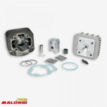 Haut Moteur Malossi Pour Scooter Piaggio 50 Fly 2t 31 8520 /