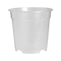 Vaso Trasparente Per Orchidee Orchidpot 21cm Florus