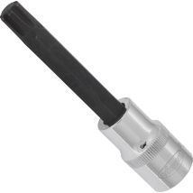 Vigor Schraubendrehereinsatz, V2216, 1/2 (12,5 Mm) Vierkant Hohl, Innen Keilprofil Ribe-cv, Sw M10
