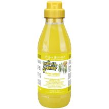 Iv San Bernard - Champú Fruit Of The Groomer De Jengibre Y Sauco 500 Ml Oferta Exclusiva