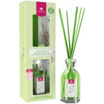 Ambientador Hogar Dama De Noche 180Ml Mikado – Duración más de 4 meses – Sin alcohol