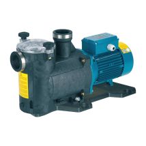 Selbstansaugende Schwimmbadpumpe Calpeda Mpc61m 1,5kw 230v Mpcm Wasserpumpe