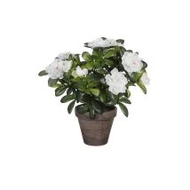 Azalea Artificiale Bianca In Vaso Grigio Ø11,5cmx27x20cm