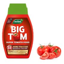 Westland - 20100495 Big Tom Super Tomato Food Feed 1l Seaweed Enriched X3 Yield