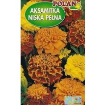 Miscela Completa Di Calendula Bassa 1 G Polan