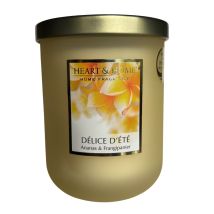 Grande Bougie Parfumée Délice D’été 320 G