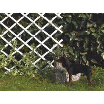 Traliccio In Plastica 1x2m Colore White Profilo A Doghe 22x6mm Nortene