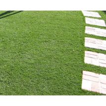 Evergreen - Tappeto De Césped Sintético 25 Mm 1x25 Mt