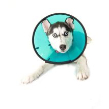 MDC – Smart Collar – Size 2 (23-30 cm) – Lightweight, Padded Neckline, Unique Design