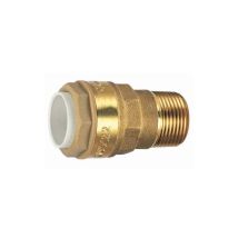 Codital - Gerade Steckkupplung Männlich 15x21 Für Kupfer 15mm Push-fit
