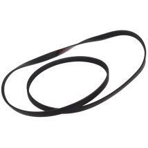 Ariston - Correa De Transmisión Poly-v 1208j5 - C00141664 - 8052476416641