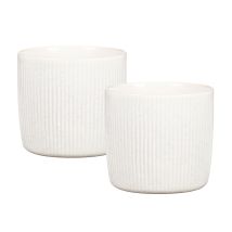 Solido Linea, Set De 2 Pots À Fleurs En Céramique, Coloris: Perla, Diamètre 15 Cm, Hauteur 13,7 Cm, 1,9 L Vol. - Scheurich