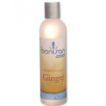 Banisan - Badezusatz Ginger Whirlpool Aromatherapie Ingwerduft 250 Ml