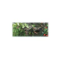 Red Anti-pájaros De 10 M De Altura Y 200 Cm De Malla De 10×12 Mm – Brixo Noflynet
