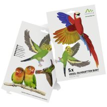 GARDIGO – 60110 – Vogelsilhouette exotische Vögel bunt 5-teilig – 10,7 x 12,8 – 28,8 x 20,4 cm – Kunststoff – 5-teilig – 0,043 kg
