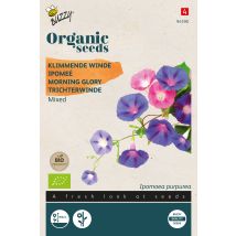 Buzzy Organic Ipomee Variée- Bio Semences - Ca. 1 Gr (livraison