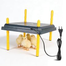 22w Chick Heating Plate, 31 X 31 Cm Chick Heating Panel, Adjustable Height