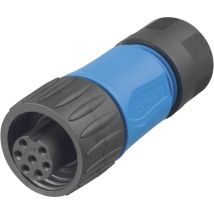 C016 30d006 110 10 Rundstecker Kupplung, Gerade Gesamtpolzahl: 6 + Pe Serie (rundsteckverbi - Amphenol