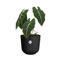 Elho – 2942402643300 – Maceta de interior Ø 26 cm x H 24 cm – 100% reciclada y reciclable – Diseño elegante y duradero