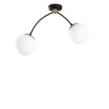 Plafón De Techo De 2 Luces Con Tulipas De Cristal Model 5