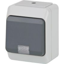Interrupteur Va-et-vient En Saillie, Nortic Ip44 Avec Lampe De Controle