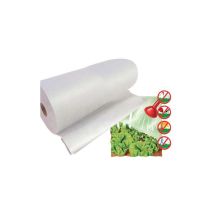 Toile Antigel En T.n.t. Brixo Agrithermo Pour Cultures En Plein Air Ou En Serre H.2,4x250 Mètres