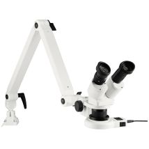 Eschenbach - 33263 33263 Stereomikroskop Binokular 20 X Auflicht